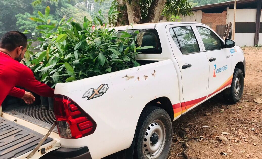 Ações de sustentabilidade da Energisa têm garantido cuidado com o meio ambiente em Rondônia